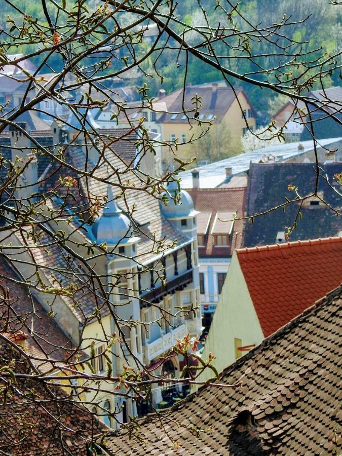 Casa Hermann Sighişoara Exterior foto